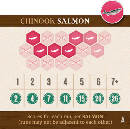 Salmon Scoring Image